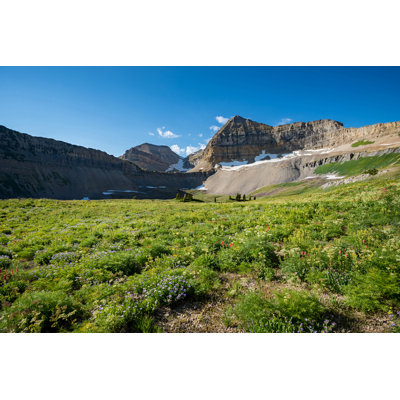 " Timpanogos Summer " by Scott Barlow