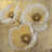Golden Highlights I by Tim O'Toole - Wrapped Canvas Painting-615763706