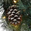 Couronne de pin enneigée 30 po avec lumières DEL à piles