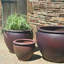 Tron Cao Handmade Planter
