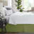 Luxury Pleated 14" Bed Skirt-876918684-903049227