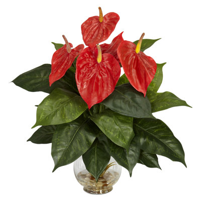 Plante en pot pour bureau pour Anthurium