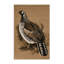  Tapis lavable épinette grouse-63937213