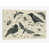 Toile tendue