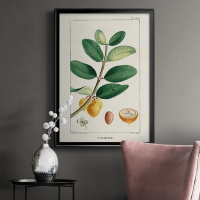 " Turpin Tropical Botanicals V "