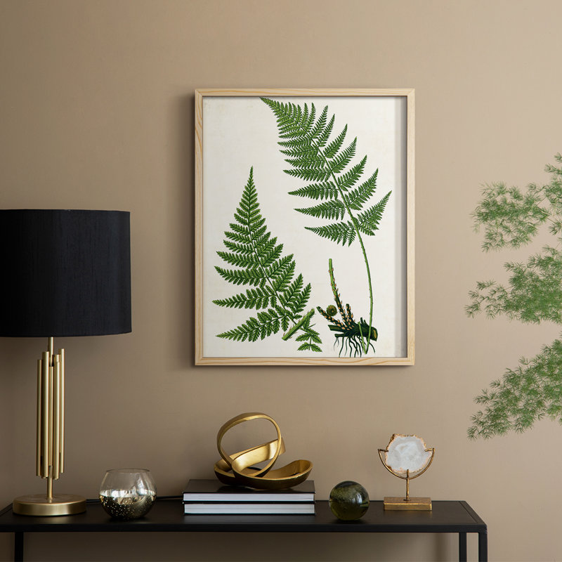 Impression encadrée Fern II - bois massif, H 21 po x l 17 po, Naturel