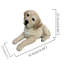 Animals Polyresin Garden Statue-1665422978