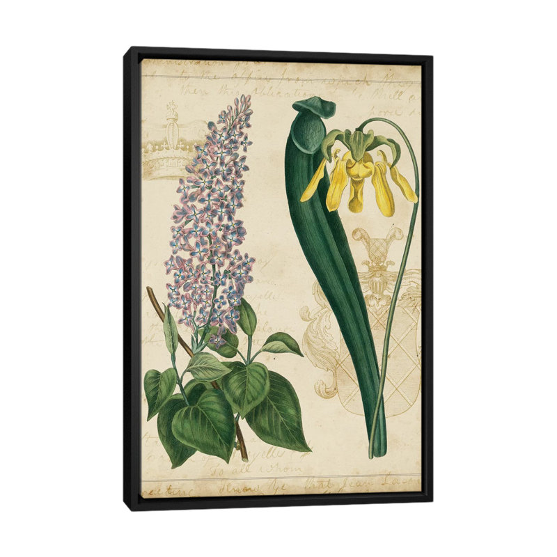 « botanique répertoire iv », reproduction d’impression sur toile tendue, H 26 po x l 18 po x P 1,5 po, Toile avec cadre noir