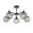 Black/Satin Nickel selected