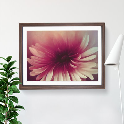 Cute Chrysanthemum Flower Vol.3 - Framed Print
