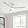 Brend 52'' Ceiling Fan with LED Lights