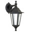 Wooten Outdoor Wall Lantern