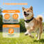 1 à 3 colliers de dressage de chiens sans fil, ensemble de dressage à distance de chocs / vibrations / bips avec affichage à DEL, système de dressage électrique rechargeable pour 3 animaux de compagnie-132308962