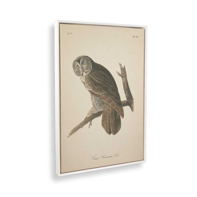 1Perched Owl Print on Rolled Canvas
