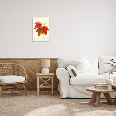 Feuillage d'automne antique avec feuille d'érable rouge par Daphne Polselli - impression