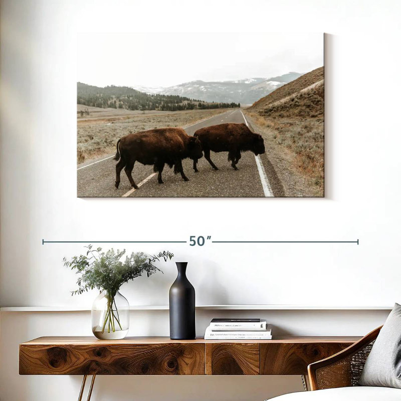 Brampt Bison In Lamar Valley, 26" H x 39" W