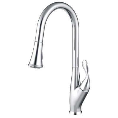 Daweier Pull Out Kitchen Faucet