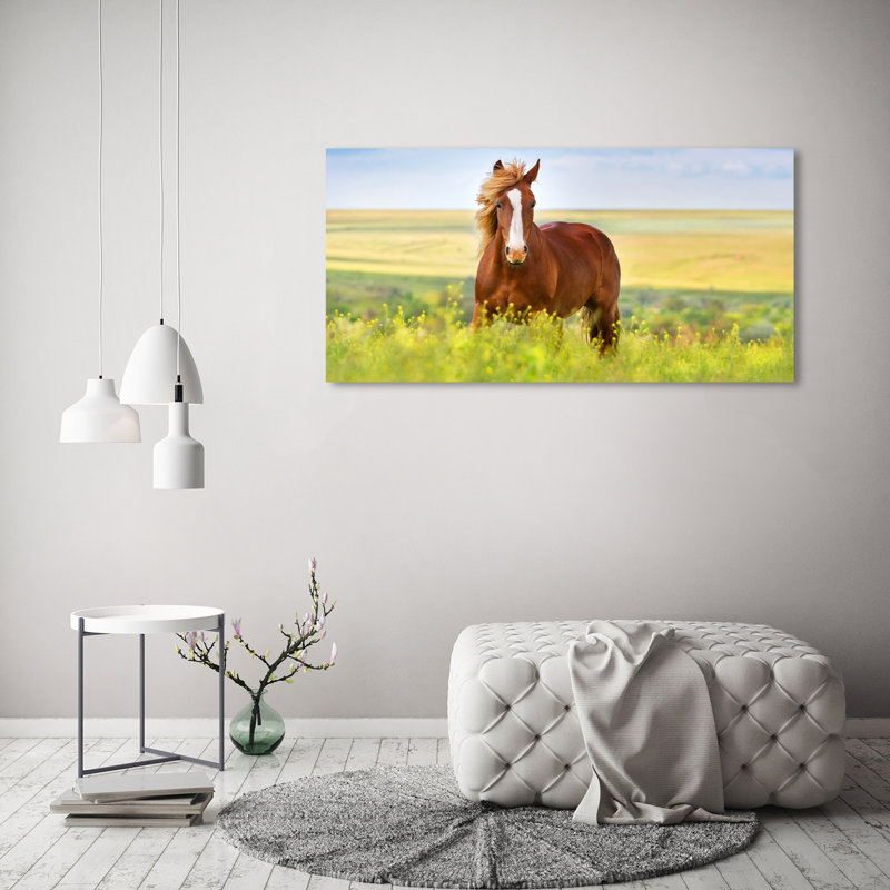 Brown Horse - Wrapped Canvas Print