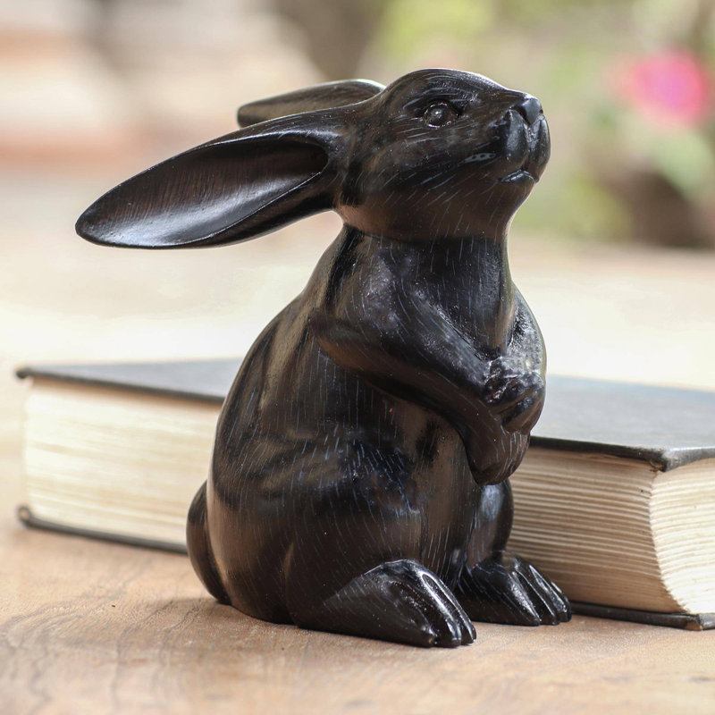 Adorable lapin Brazell, Noir