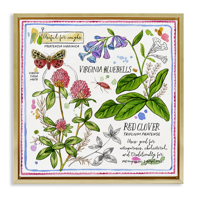 "Wild Herbs", art mural encadré sur toile flottante par Jane Maday, Cadre flottant métallique doré, H 25 po x l 25 po