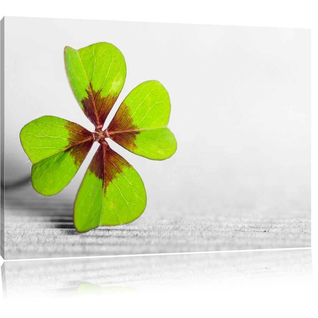 Leinwandbild Shamrock Lucky Clover