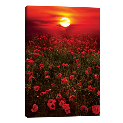Warm Sunset by Marco Carmassi - Wrapped Canvas Gallery-Wrapped Canvas Giclée