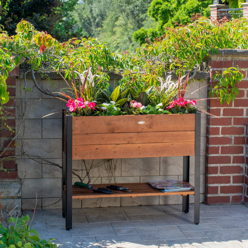 Jardin surélevé en bois 3 pi x 1,05 pi