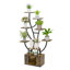  Support pour plante d'intérieur 63 "avec lumières de culture, étagère de plante à 9 niveaux