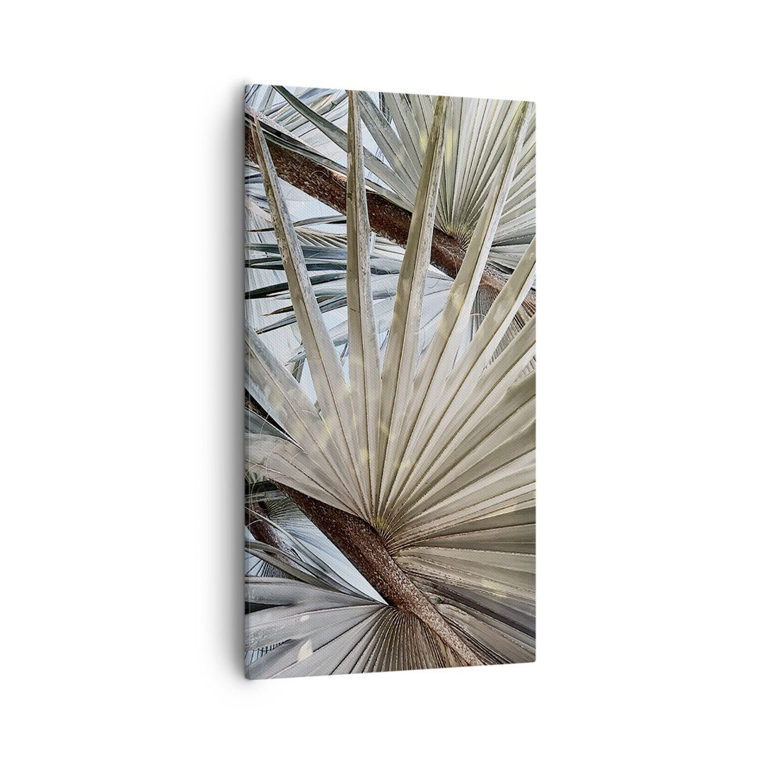 Leinwandbild Leaf Palm Nature