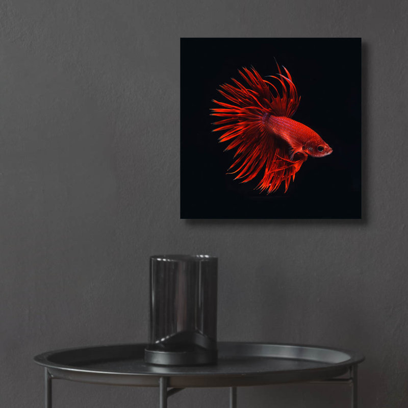 «Red Betta Fish» par PhotoINC Studio, H 12 po x l 12 po x P 0,13 po
