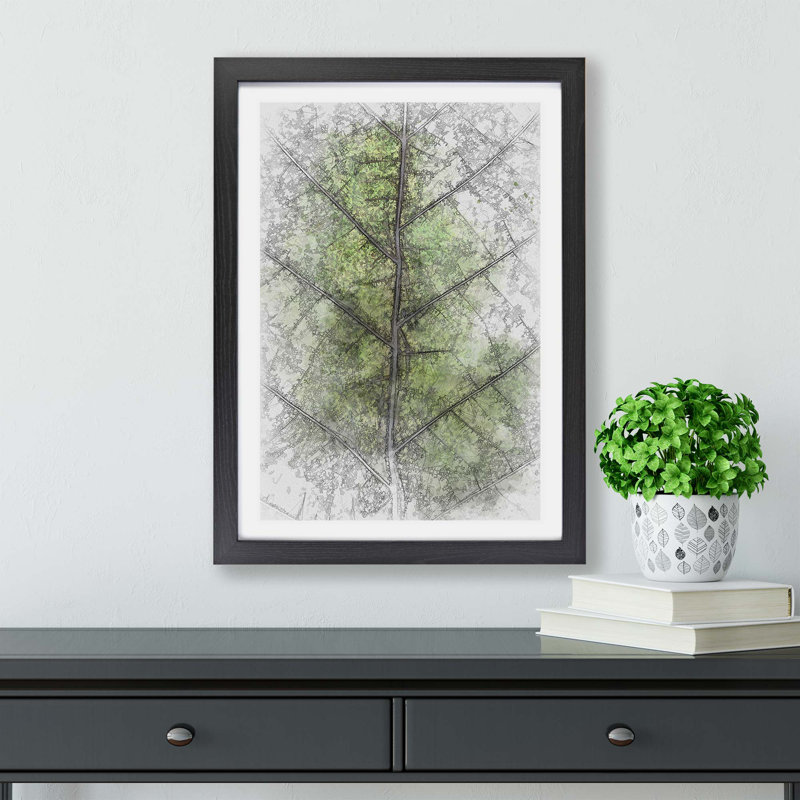 Leaf Lines - Framed Print, Black, 33cm H x 45cm W x 2cm D