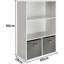Anaclara 90cm H x 60cm W Bookcase