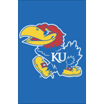 NCAA Double Sided 18'' H x 12.5'' W Nylon Garden Flag