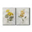 Canari lin géranium - ensemble de 2 reproductions d'art-755692019-755999318-755999315