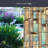 City Lights Window Film 24" x 36"