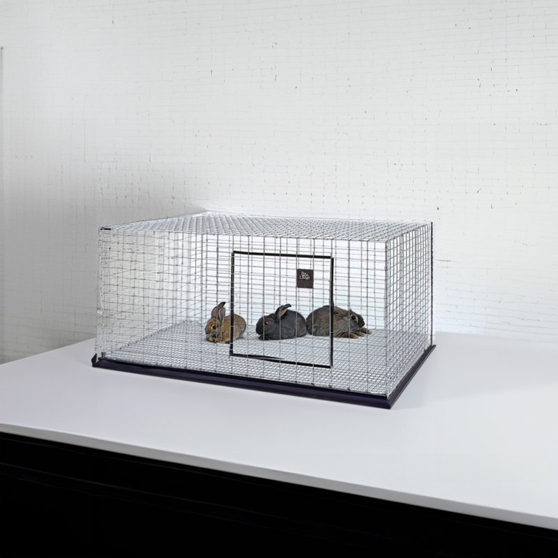 Pavillon pour animal de compagnie Little Giant