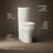 Persuade Curv Two-Piece Elongated Toilet With Skirted Trapway, Dual-Flush-106282006