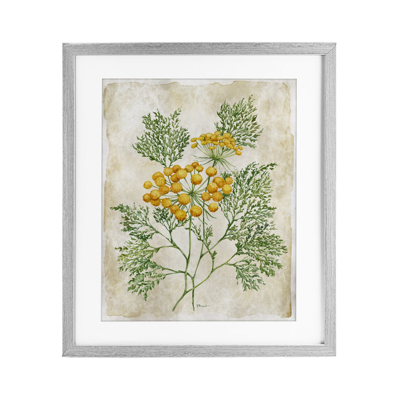 «Botanical Journal», reproduction d'art encadrée sous verre, conception de Paul Brent, H 16 po x l 13 po, Cadre de ferme gris