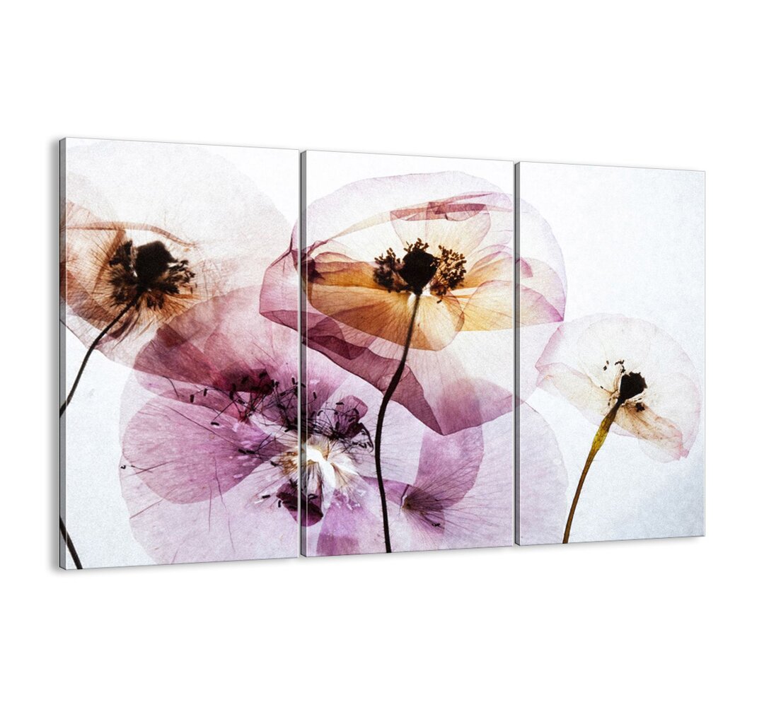 3-tlg. Leinwandbilder-Set - Grafikdruck „Flowers Body Filmstrip”