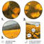 Jaune, vert, bouton d'or, soleil, pré, V - Buttercups, art mural, salon-106186752-106186754