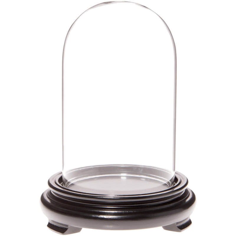 Cloche en verre Kelig 3 "x 5", Base en placage de bois noir