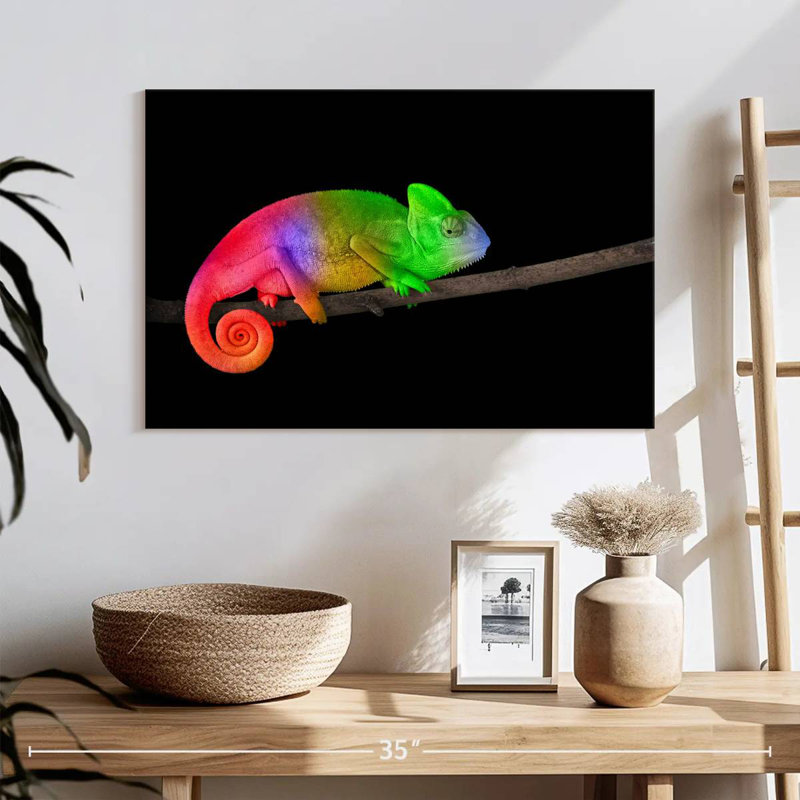 Caméléon à dégradé de couleurs Brampt, H 24 po x l 36 po