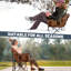 Chaise de camping pliante avec coussin-93658910