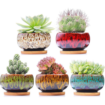 Round Ceramic Succulent Pots Set Of 5
