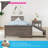Boling Twin Solid Wood Platform Bed with Trundle-883602837-810749527