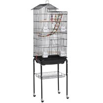 Chylie 75 Iron Play Top Floor Bird Cage with Perch