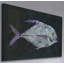 Pompano 1 Piece Wrapped Canvas Painting-19085342