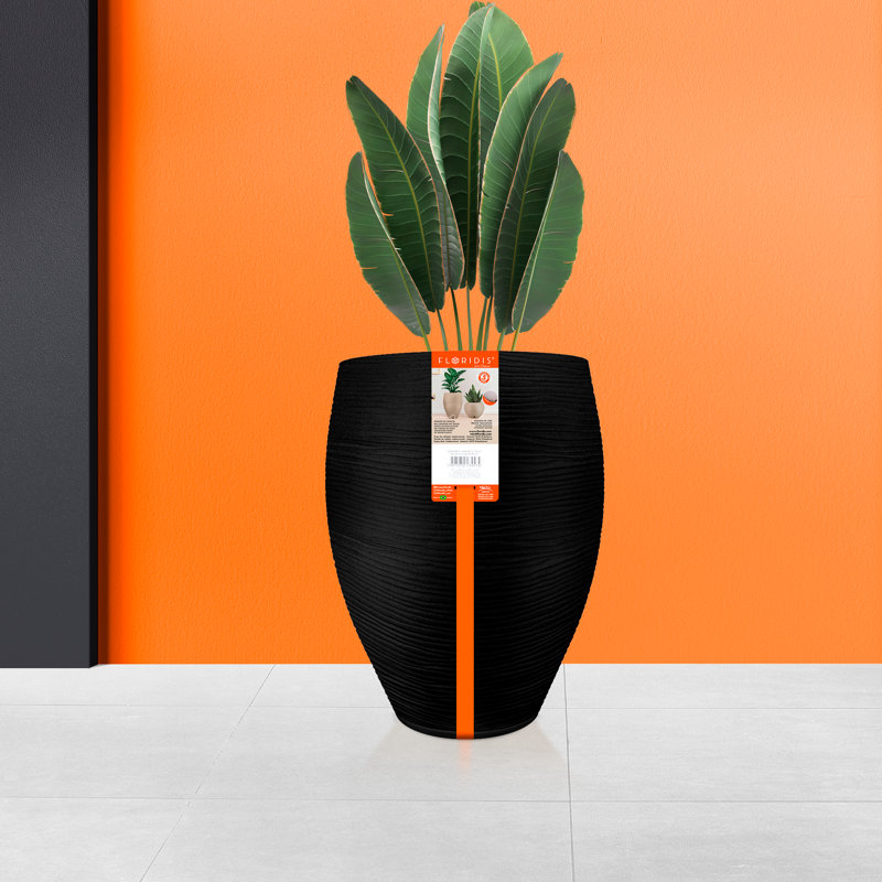 Cachepot, Black