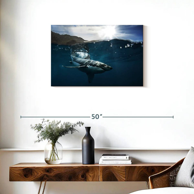 Brampt Shark Sunshine, 20" H x 30" W
