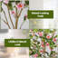 120cm Plant